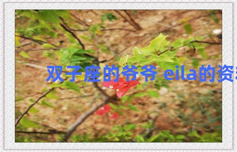 双子座的爷爷 eila的资料